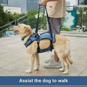 Dog lift harness